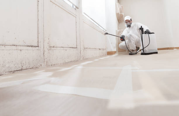 24/7 Emergency Attic Mold Removal experts in Upper Black Eddy, PA